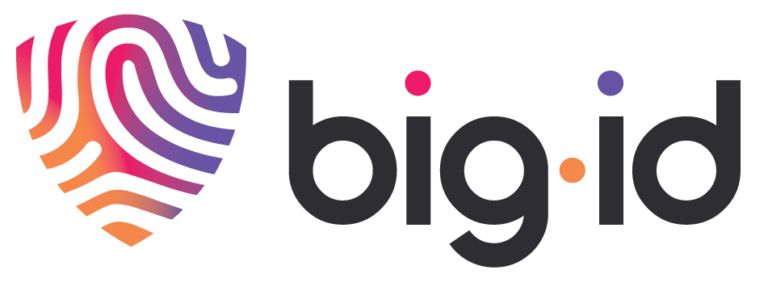 bigid_logo